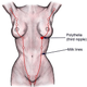 Illustration for article titled What This Bond Villain Can Teach You About Extra Nipples